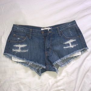 Kittenish shorts